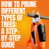 How to Prune Different Types of Trees: A Step-by-Step Guide