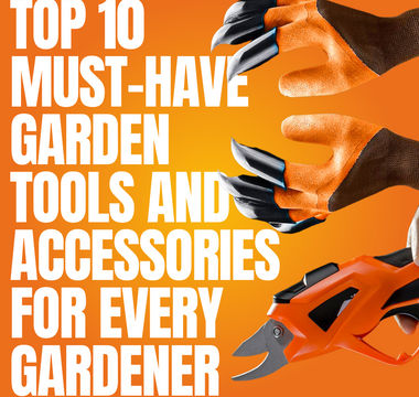 Top 10 Must-Have Garden Tools and Accessories for Every Gardener