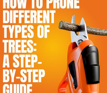 How to Prune Different Types of Trees: A Step-by-Step Guide