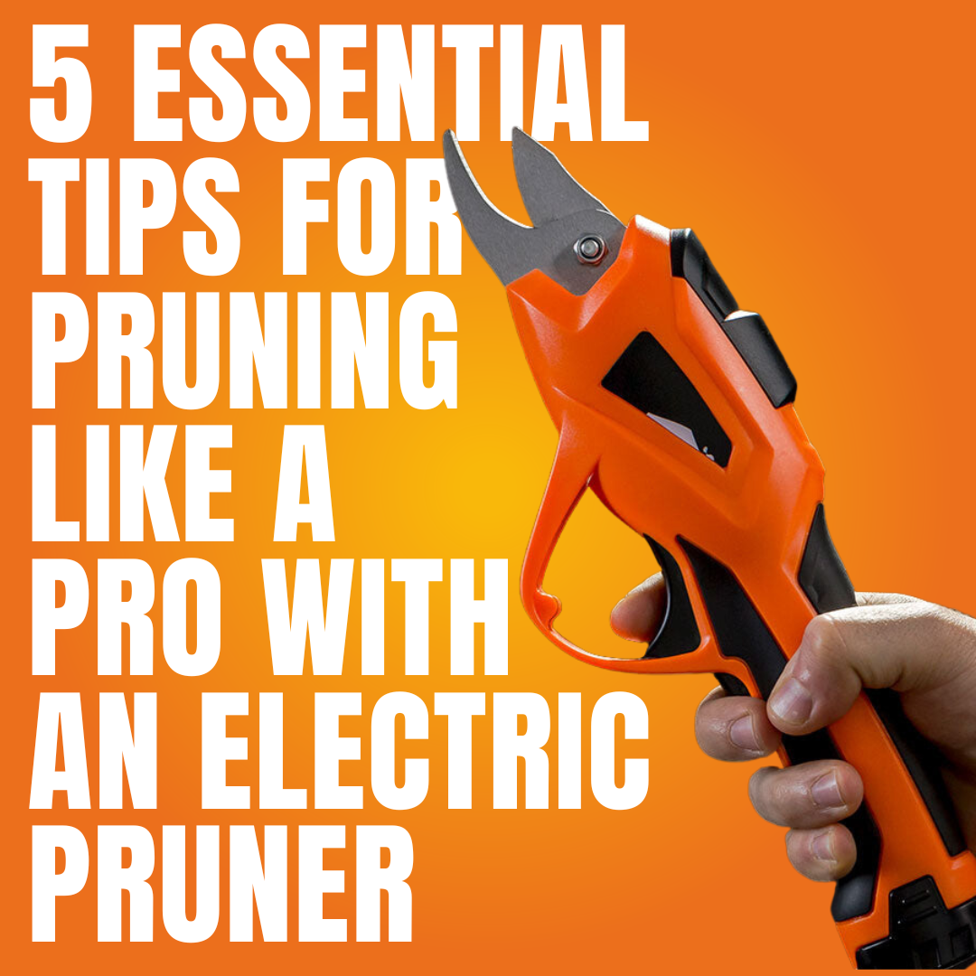 5 Essential Tips for Pruning Like a Pro with an Electric Pruner ...