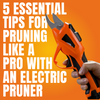 5 Essential Tips for Pruning Like a Pro with an Electric Pruner