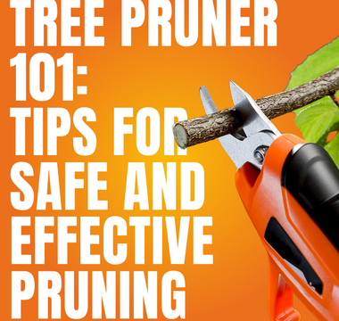 Tree Pruner 101: Tips for Safe and Effective Pruning