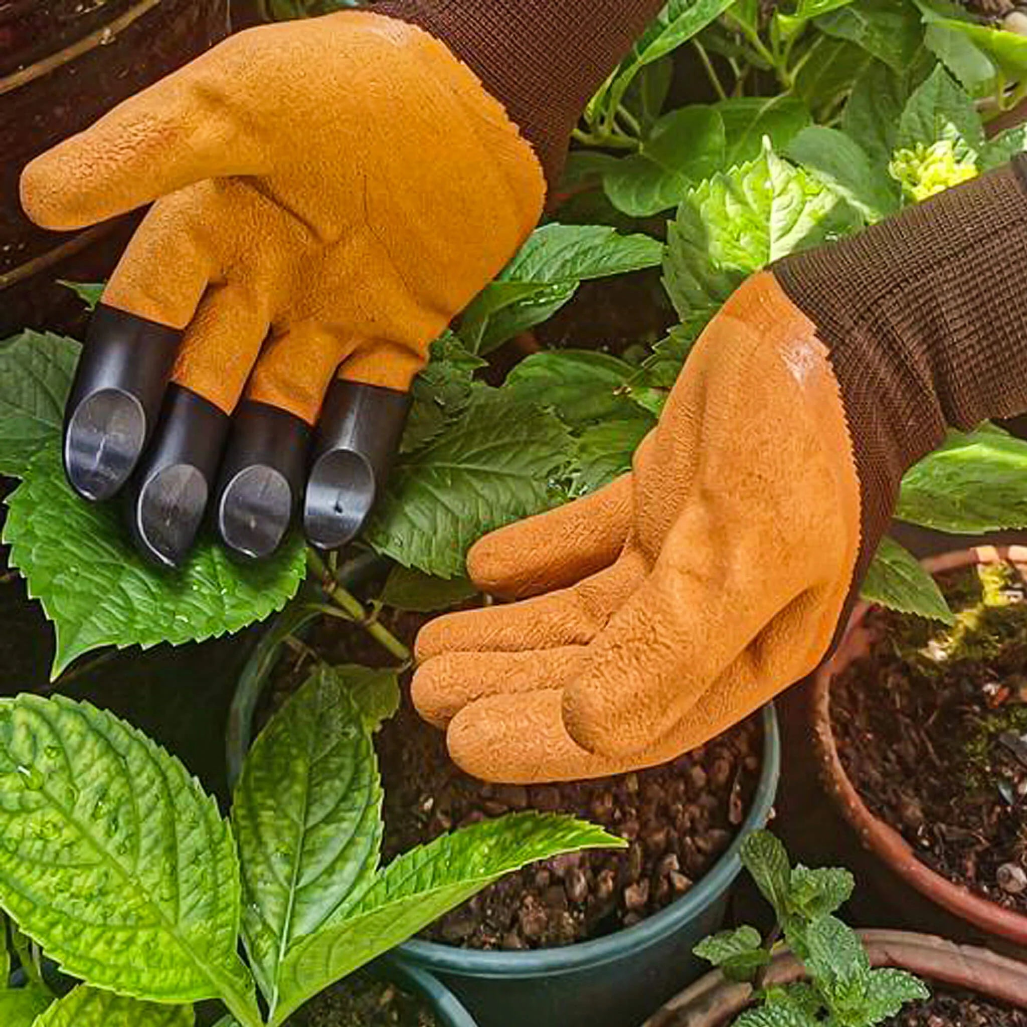 plant pots to hang on trellis SuperClaws™